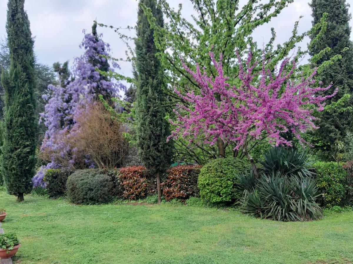 Villa Il Fienile Del Colle à Pescia Extérieur photo